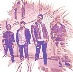 Meet your Posher, Rose